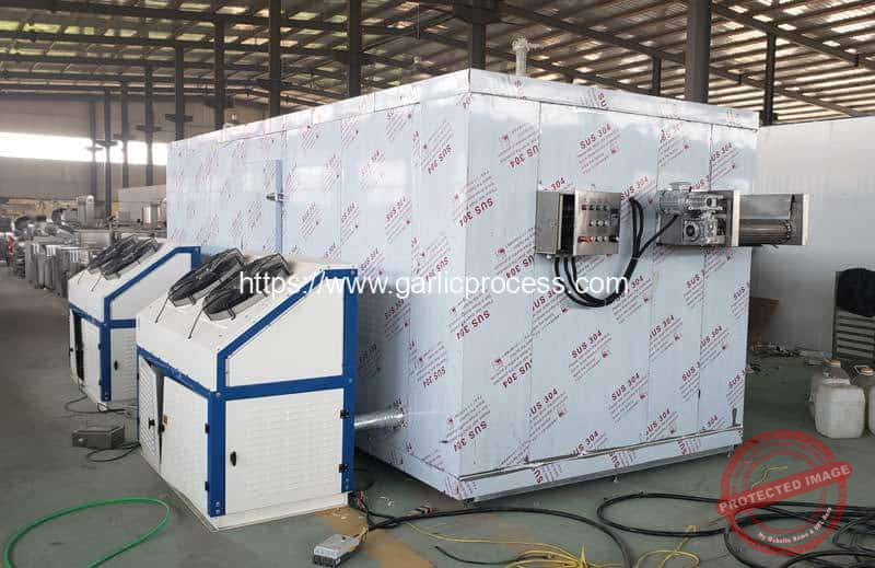 Automatic-Garlic-Clove-Tunnel-Instant-Freezer-for-Keeping Garlic Clove Fresh
